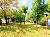 Alykes Park #2